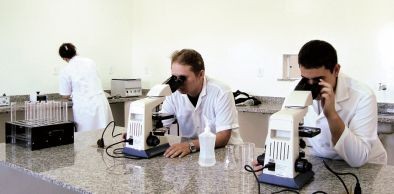 PRPPG abre inscrições para Bolsas de Iniciação Científica do CNPq