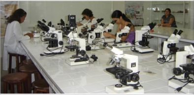UVA consegue aplicação recorde de recursos em investimentos