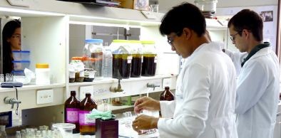 Semana Acadêmica comemora 15 anos de atividades do Curso de Química da UVA