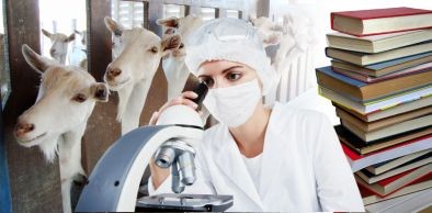 UVA e FUNCAP firmam acordo de cooperação