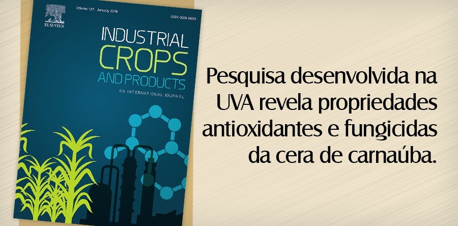 Pesquisa desenvolvida na UVA revela propriedades antioxidantes e fungicidas da cera de carnaúba.