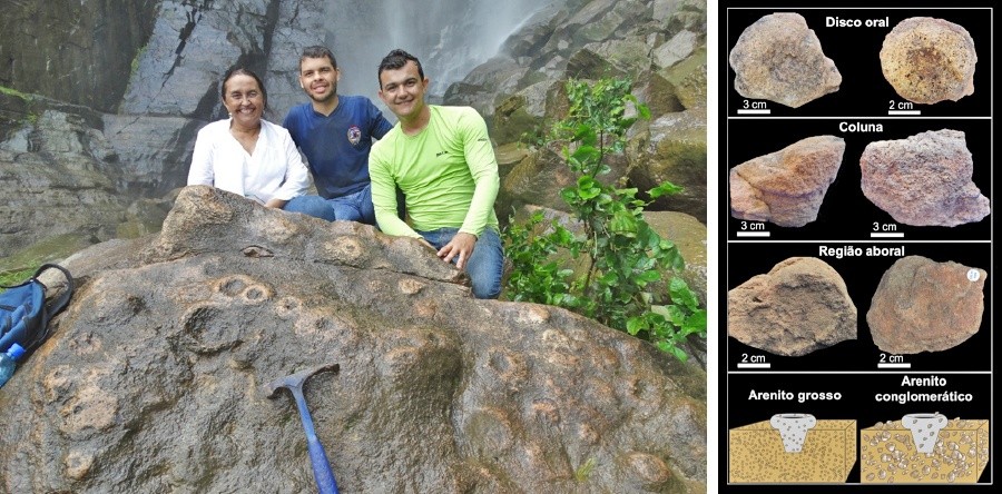 Pesquisa desenvolvida na UVA e UFPE sobre fósseis marinhos do semiárido cearense é apresentada em Congresso Internacional de Paleontologia